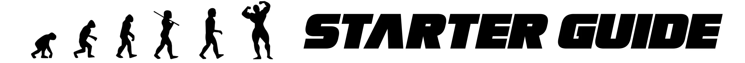 starter-guide